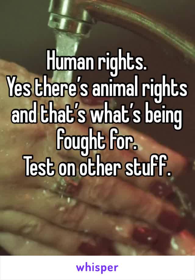 Human rights. 
Yes there’s animal rights and that’s what’s being fought for. 
Test on other stuff. 