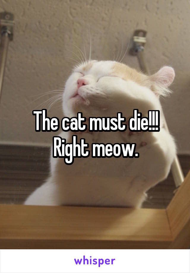 The cat must die!!!
Right meow.