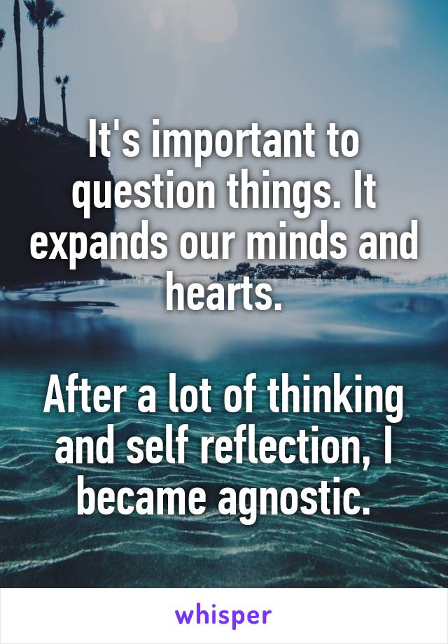 It's important to question things. It expands our minds and hearts.

After a lot of thinking and self reflection, I became agnostic.