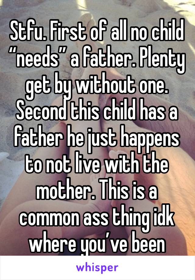 Stfu. First of all no child “needs” a father. Plenty get by without one. Second this child has a father he just happens to not live with the mother. This is a common ass thing idk where you’ve been 