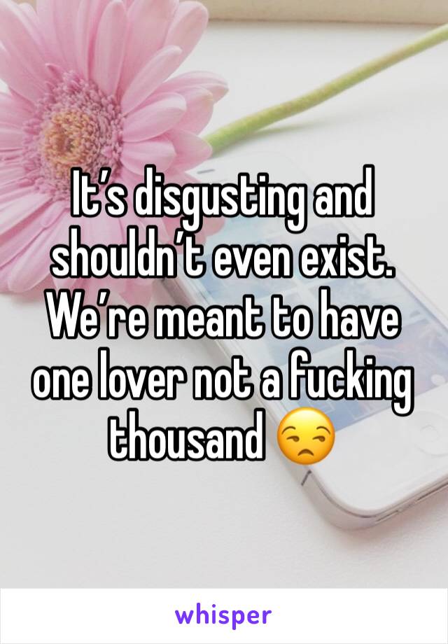 It’s disgusting and shouldn’t even exist. We’re meant to have one lover not a fucking thousand 😒