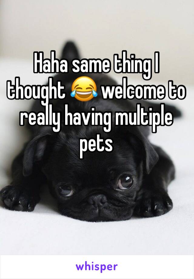 Haha same thing I thought 😂 welcome to really having multiple pets 