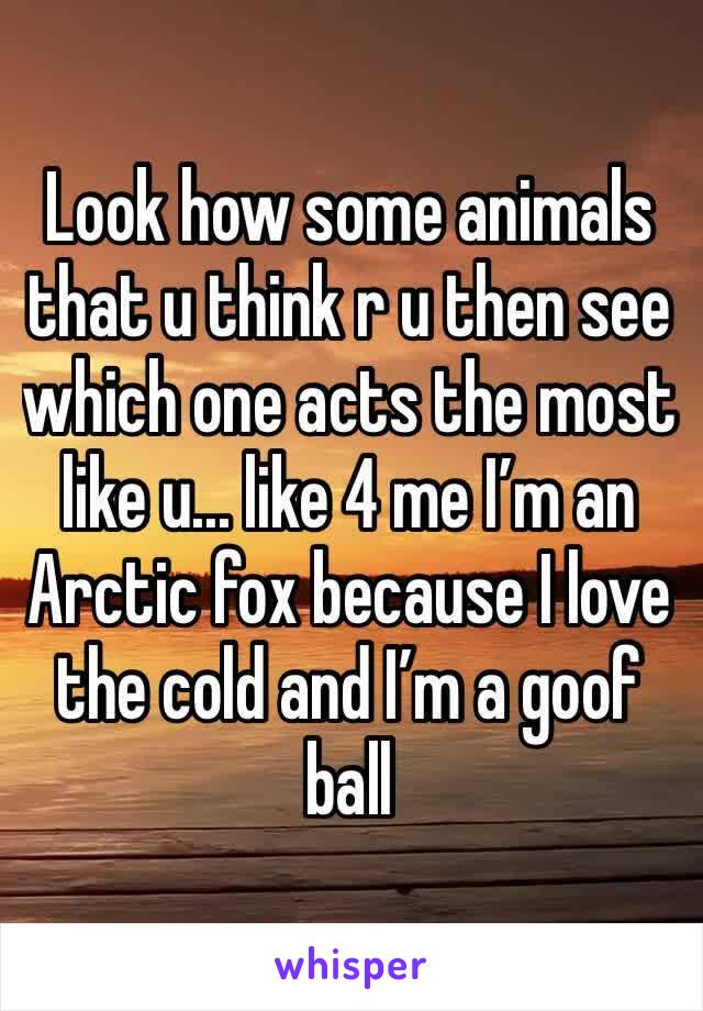 Look how some animals that u think r u then see which one acts the most like u... like 4 me I’m an Arctic fox because I love the cold and I’m a goof ball