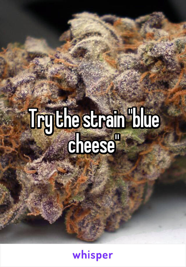 Try the strain "blue cheese"