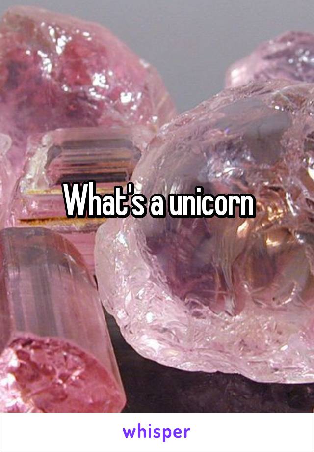 What's a unicorn
