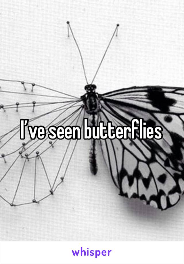 I’ve seen butterflies 