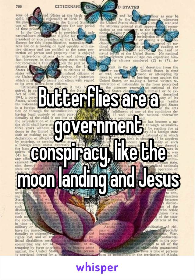 Butterflies are a government conspiracy, like the moon landing and Jesus