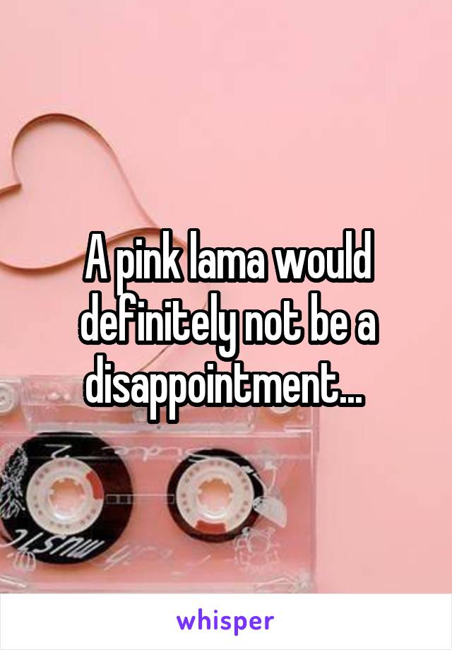 A pink lama would definitely not be a disappointment... 