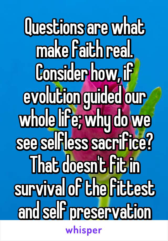 Questions are what make faith real. Consider how, if evolution guided our whole life; why do we see selfless sacrifice? That doesn't fit in survival of the fittest and self preservation