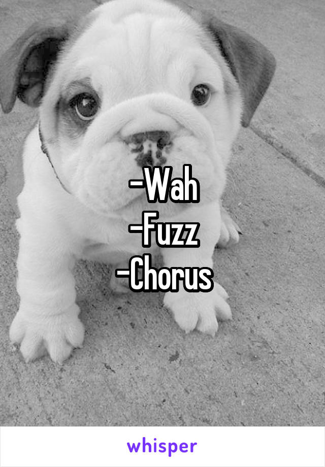 -Wah
-Fuzz
-Chorus
