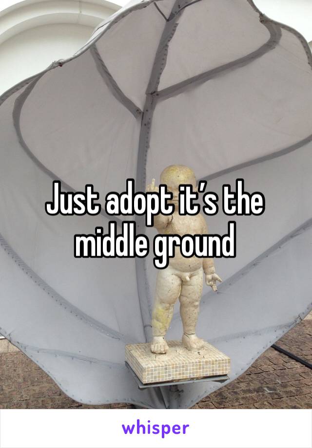 Just adopt it’s the middle ground 