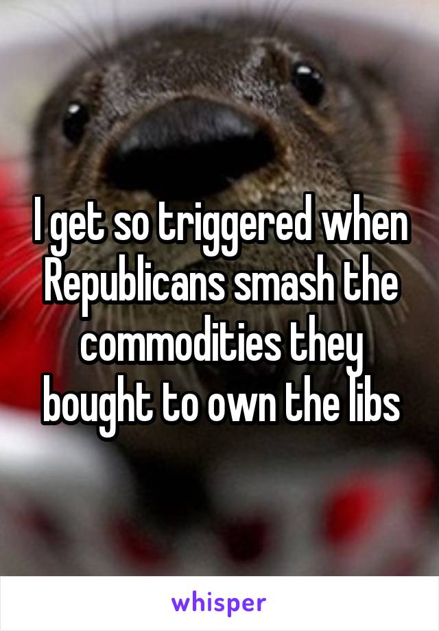 I get so triggered when Republicans smash the commodities they bought to own the libs