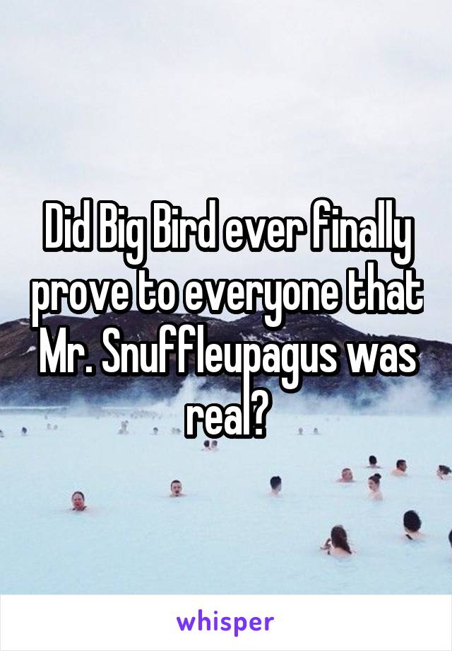 Did Big Bird ever finally prove to everyone that Mr. Snuffleupagus was real?