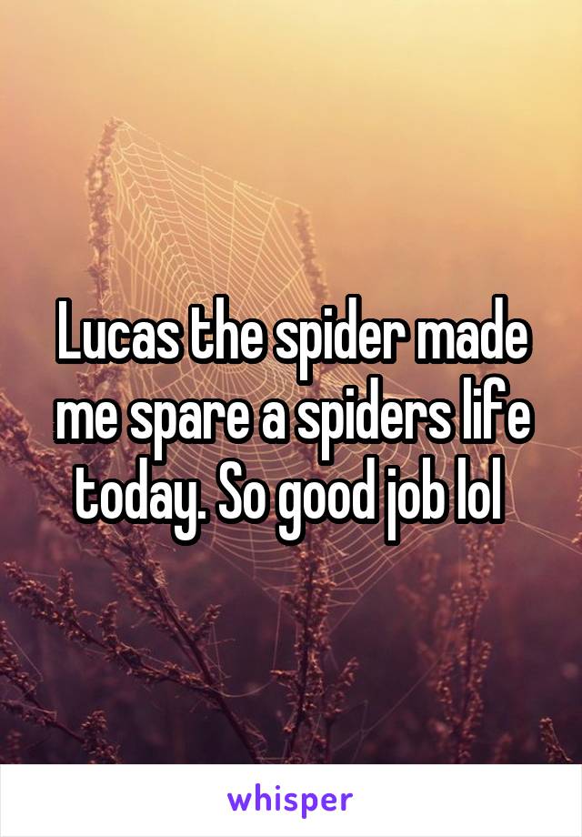 Lucas the spider made me spare a spiders life today. So good job lol 
