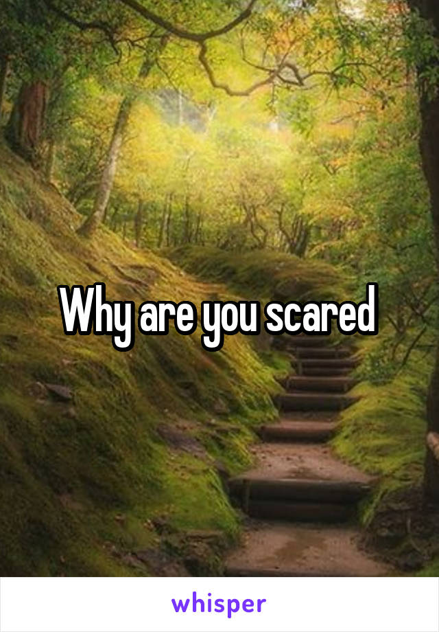 Why are you scared 