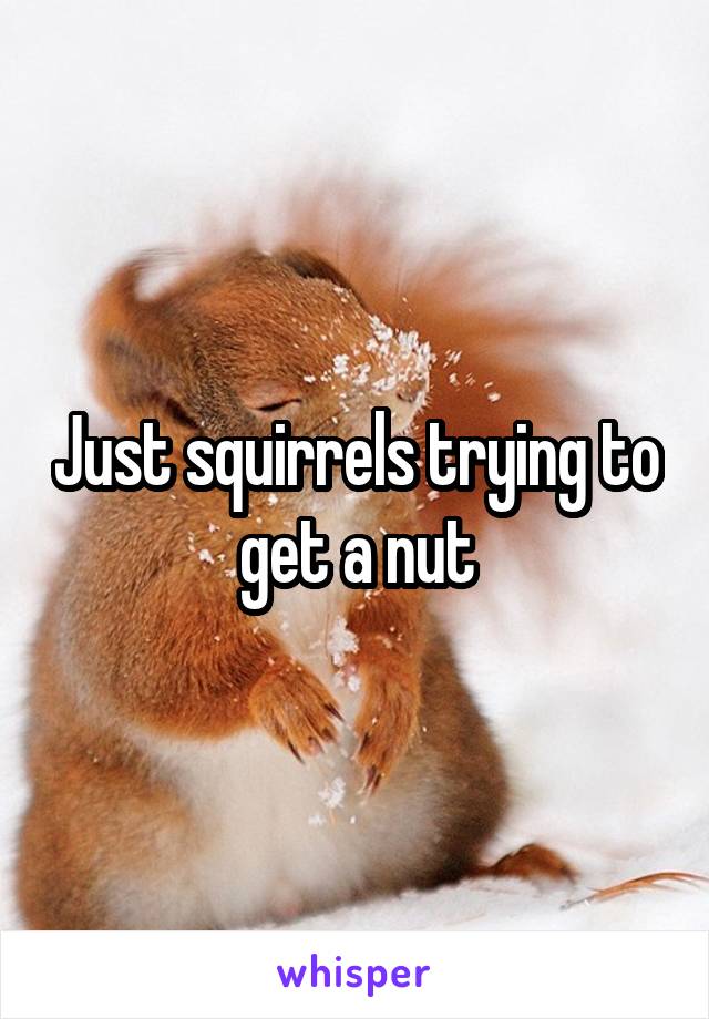 Just squirrels trying to get a nut
