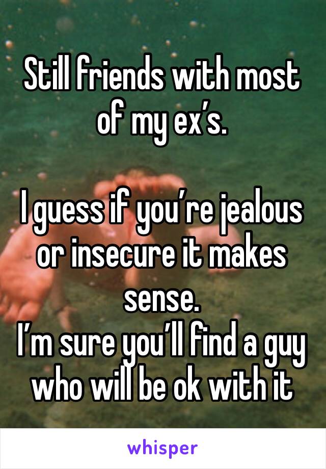Still friends with most of my ex’s. 

I guess if you’re jealous or insecure it makes sense. 
I’m sure you’ll find a guy who will be ok with it