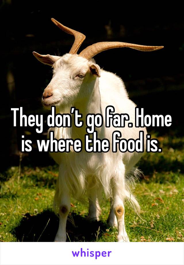 They don’t go far. Home is where the food is.