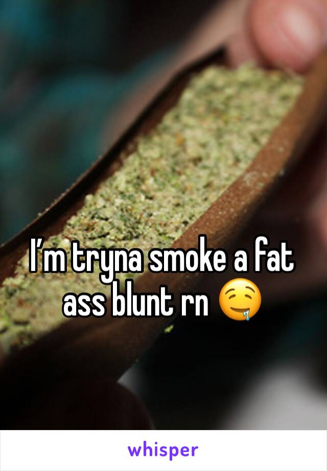 I’m tryna smoke a fat ass blunt rn 🤤