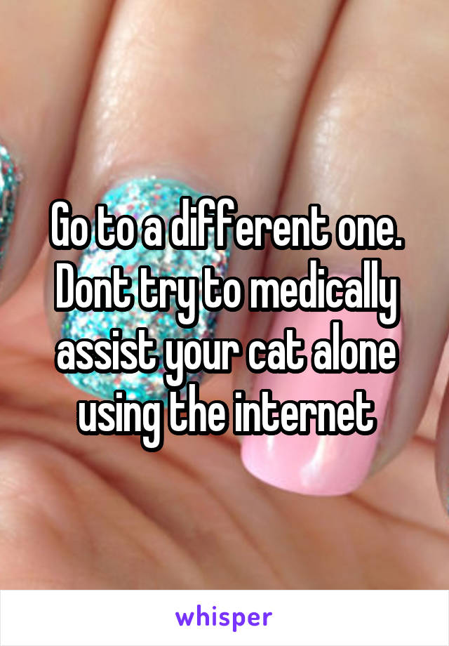 Go to a different one. Dont try to medically assist your cat alone using the internet