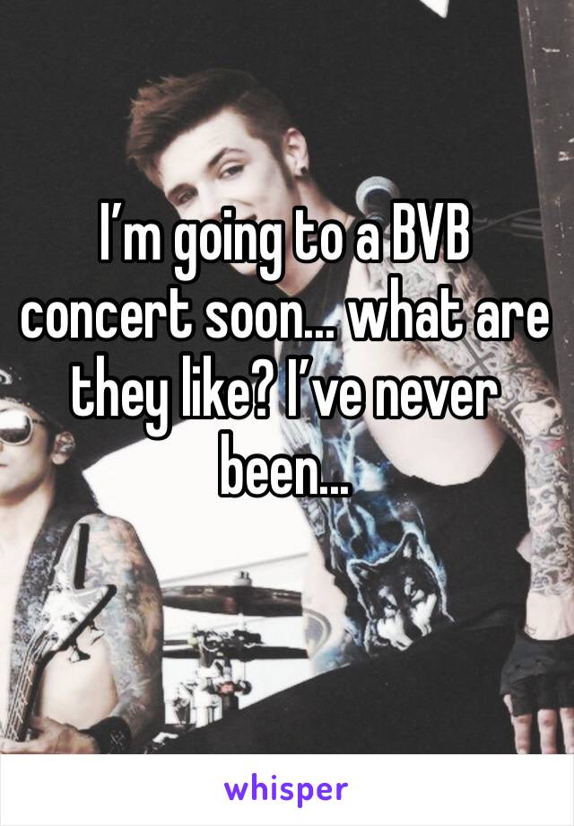 I’m going to a BVB concert soon... what are they like? I’ve never been...