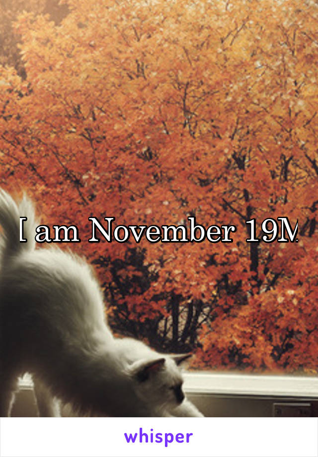 I am November 19M