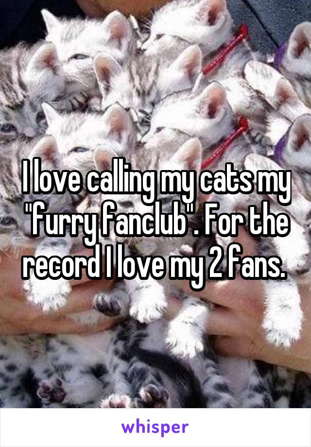 I love calling my cats my "furry fanclub". For the record I love my 2 fans. 