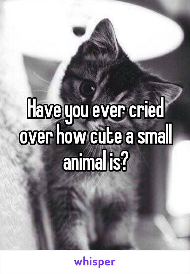 Have you ever cried over how cute a small animal is?