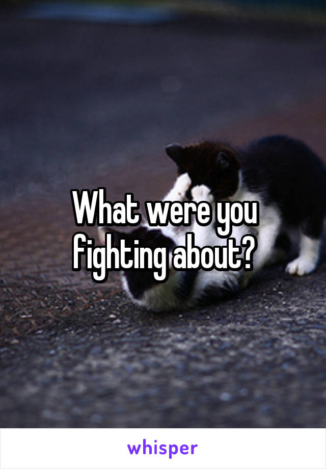 What were you fighting about?