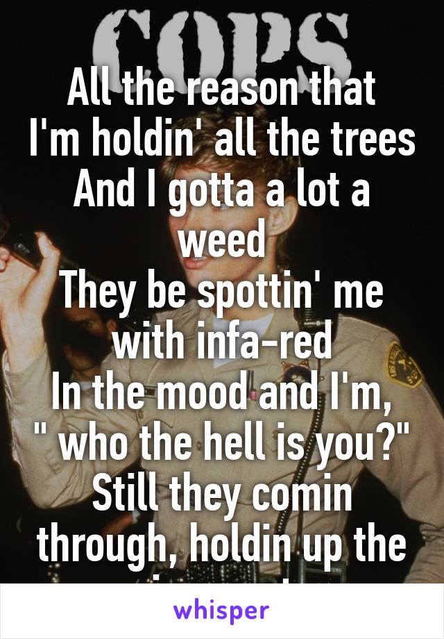 
All the reason that I'm holdin' all the trees
And I gotta a lot a weed
They be spottin' me with infa-red
In the mood and I'm, " who the hell is you?"
Still they comin through, holdin up the innocent