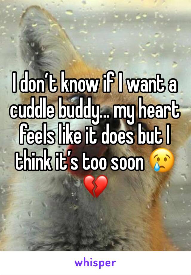 I don’t know if I want a cuddle buddy... my heart feels like it does but I think it’s too soon 😢💔
