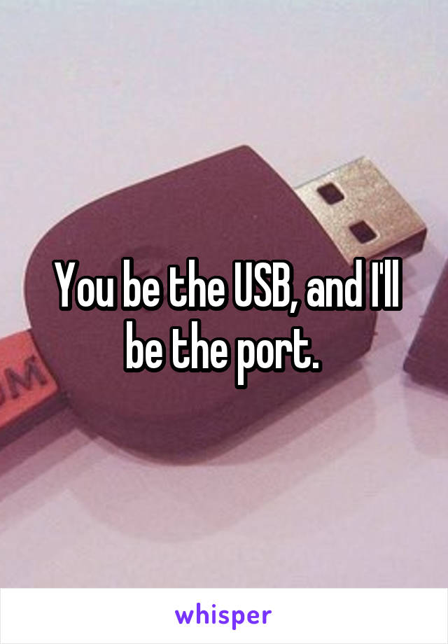 You be the USB, and I'll be the port. 