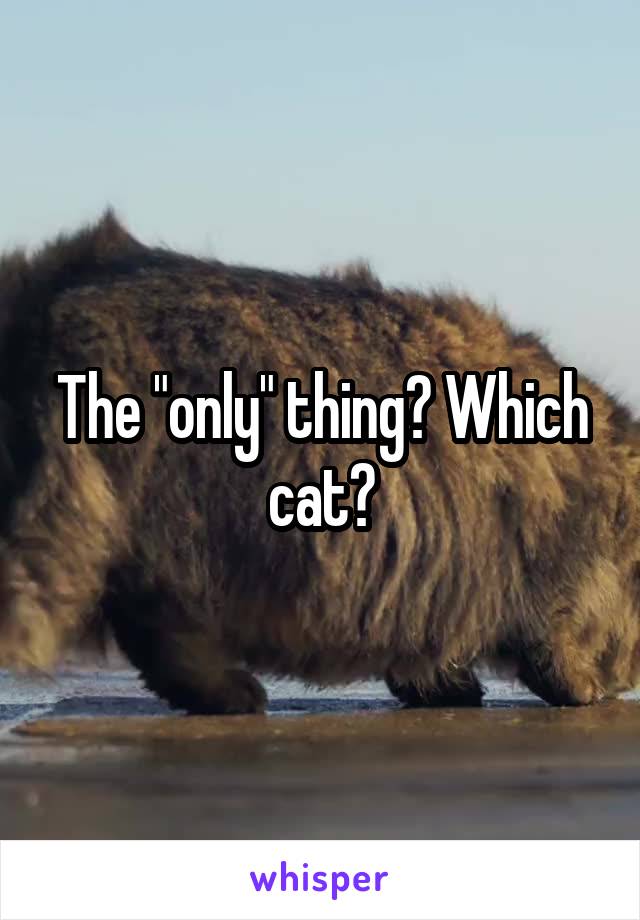 The "only" thing? Which cat?