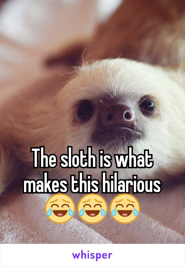 The sloth is what makes this hilarious 😂😂😂