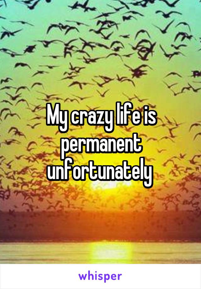 My crazy life is permanent unfortunately 