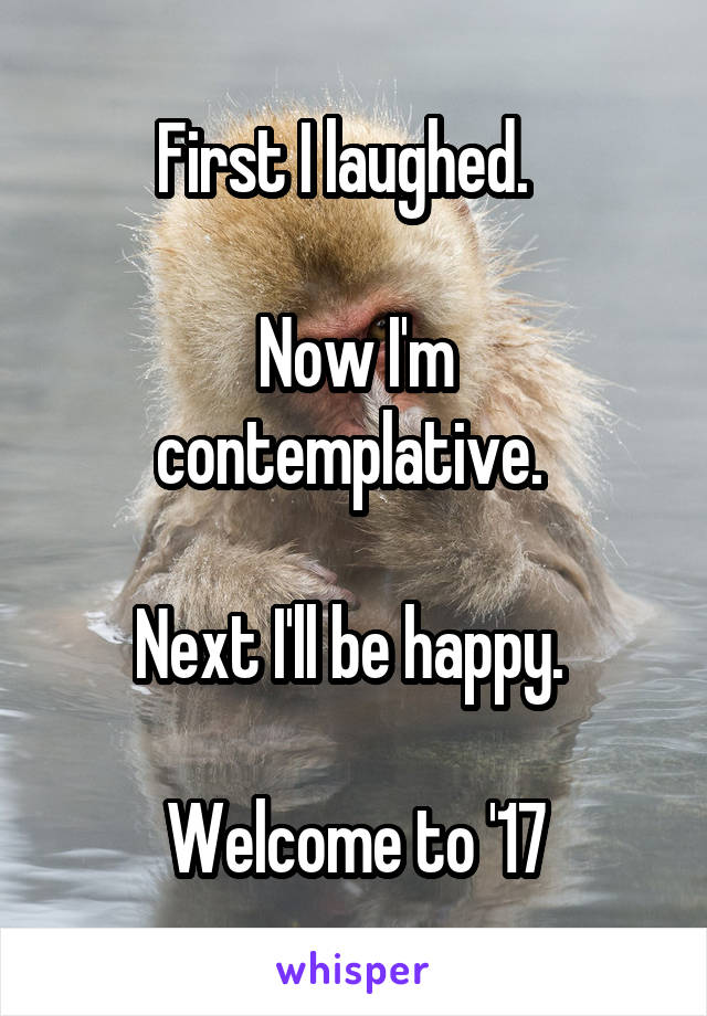 First I laughed.  

Now I'm contemplative. 

Next I'll be happy. 

Welcome to '17