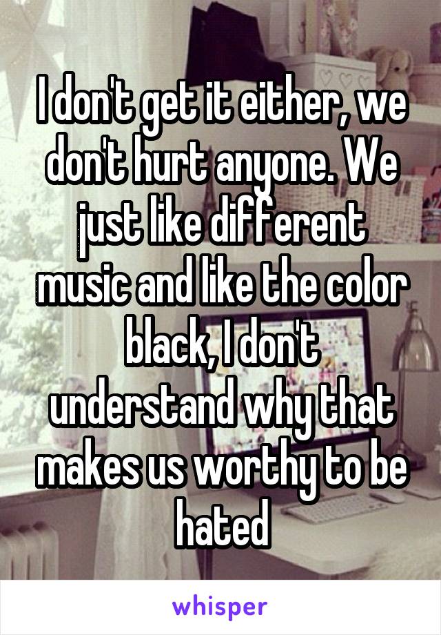 I don't get it either, we don't hurt anyone. We just like different music and like the color black, I don't understand why that makes us worthy to be hated