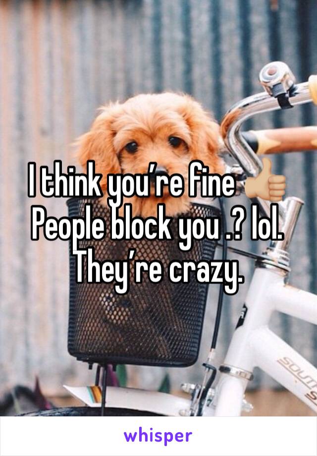 I think you’re fine 👍🏼 People block you .? lol. They’re crazy. 
