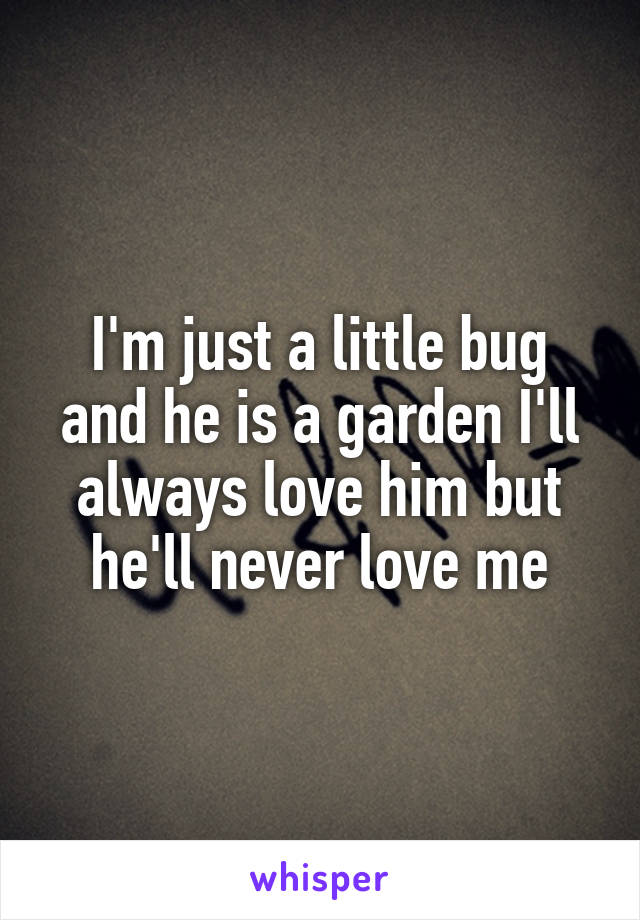 I'm just a little bug and he is a garden I'll always love him but he'll never love me
