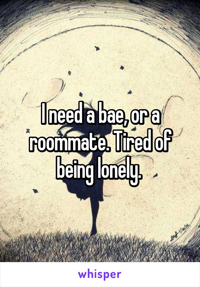 I need a bae, or a roommate. Tired of being lonely. 