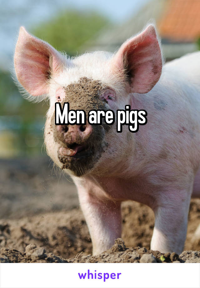 Men are pigs

