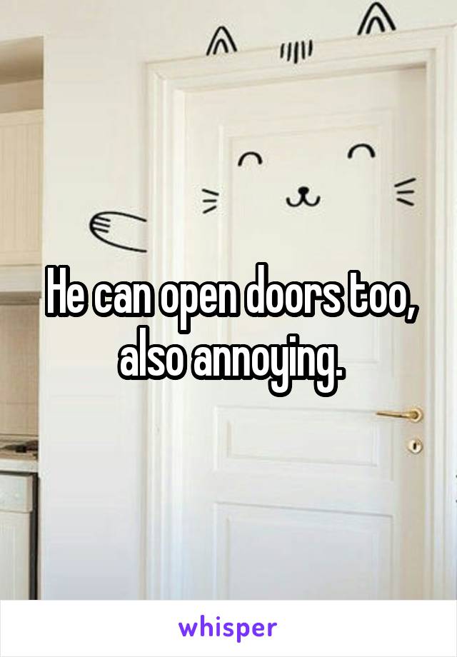 He can open doors too, also annoying.