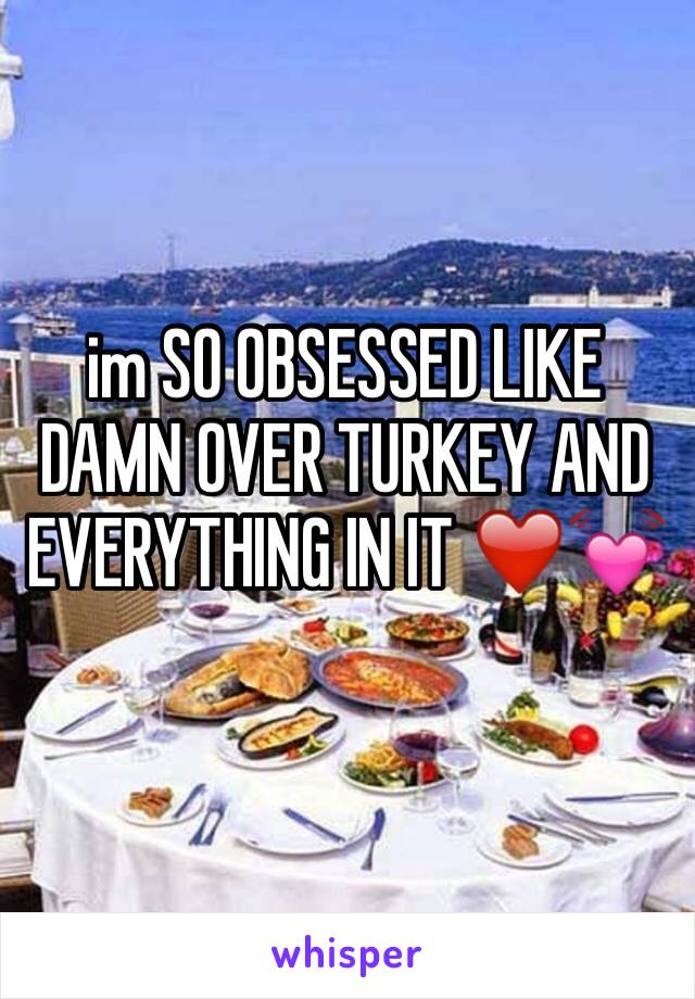 im SO OBSESSED LIKE DAMN OVER TURKEY AND EVERYTHING IN IT ❤️️💓