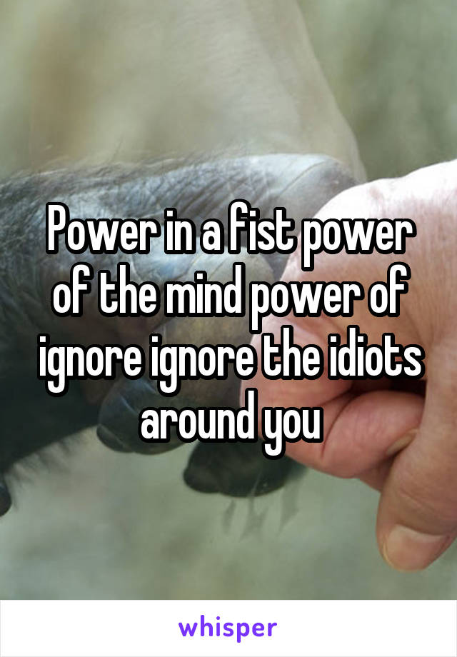 Power in a fist power of the mind power of ignore ignore the idiots around you
