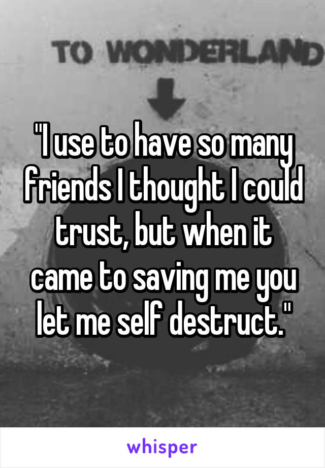 "I use to have so many friends I thought I could trust, but when it came to saving me you let me self destruct."