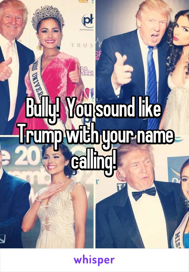 Bully!  You sound like  Trump with your name calling! 