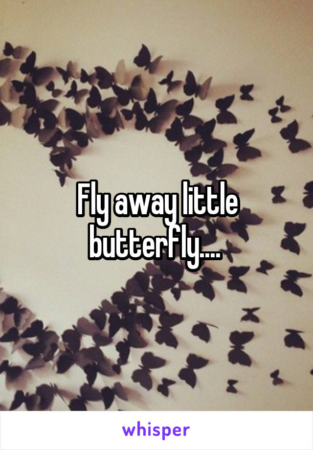 Fly away little butterfly.... 
