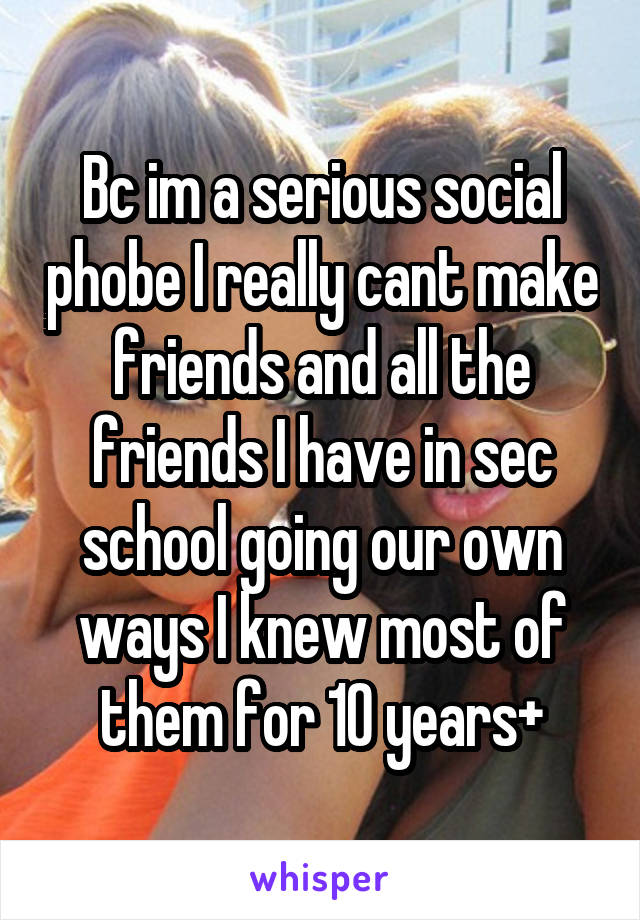 Bc im a serious social phobe I really cant make friends and all the friends I have in sec school going our own ways I knew most of them for 10 years+