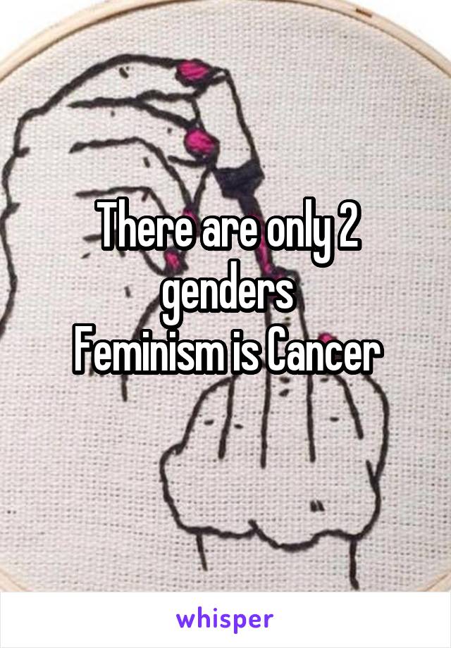 There are only 2 genders
Feminism is Cancer
