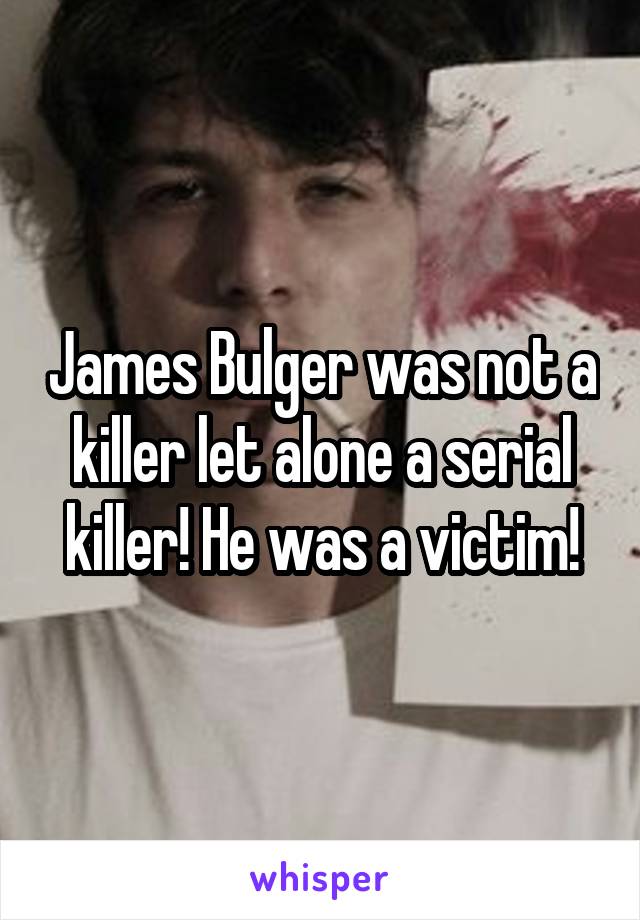 James Bulger was not a killer let alone a serial killer! He was a victim!